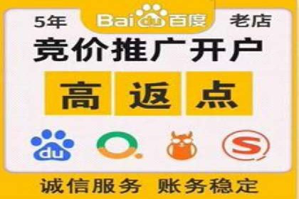 SEM竞价案例分析：提升广告投放效果